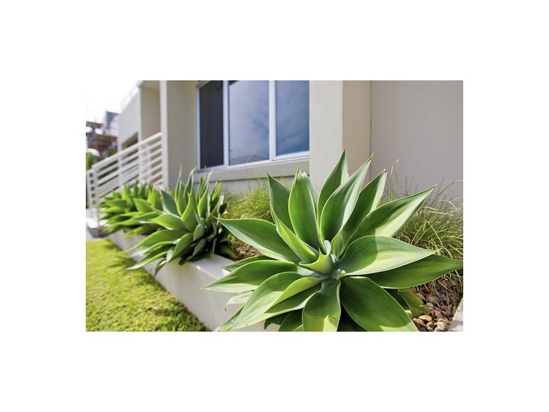 8 Tramway Court, Bulli NSW 2516