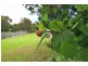 15a Cochrane Rd, Thirroul NSW 2515