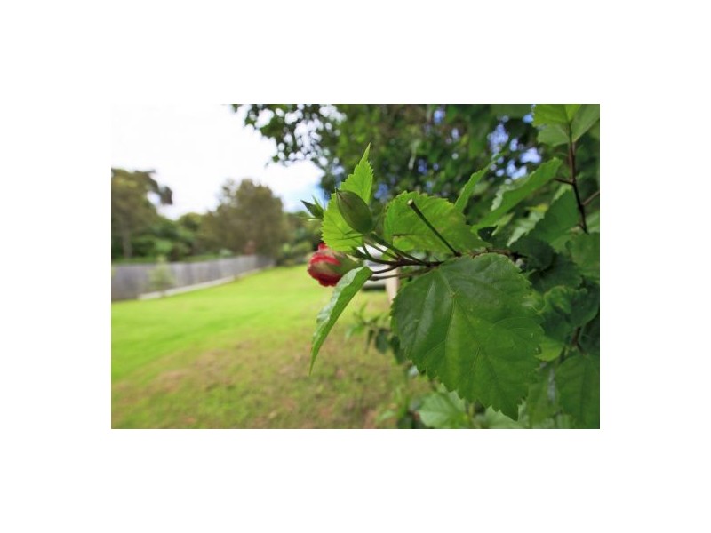 15a Cochrane Rd, Thirroul NSW 2515
