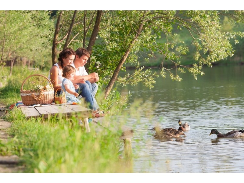 Creekside Circuit, Nambour QLD 4560