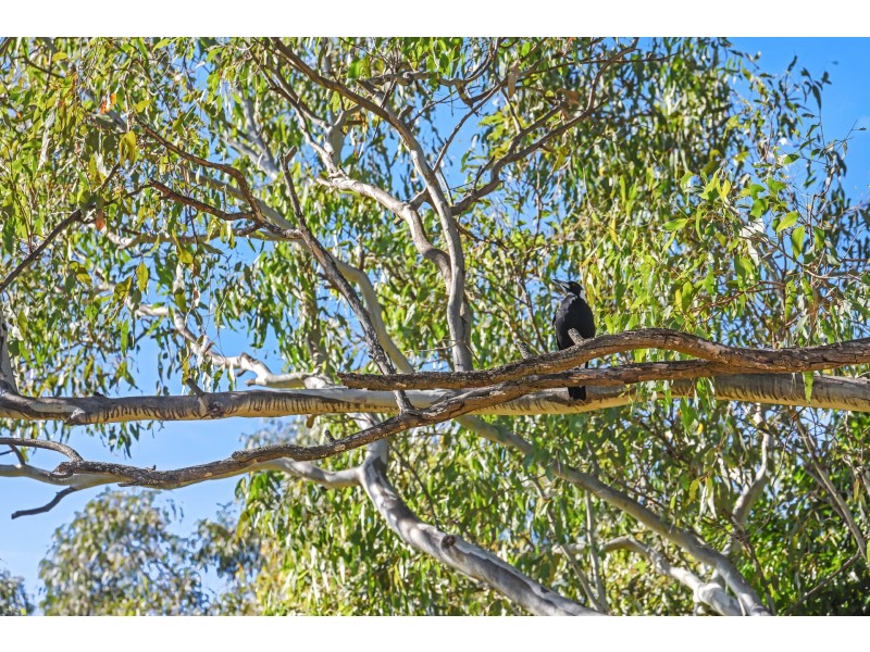 Lot 4 Jeanette Street, Nambour QLD 4560