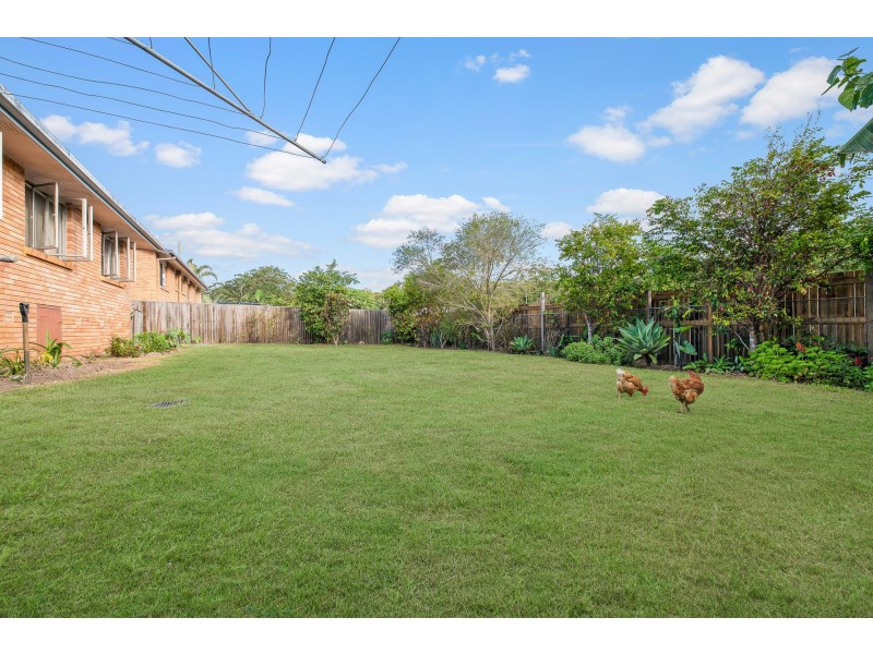 19 Stanley Street, Palmwoods QLD 4555