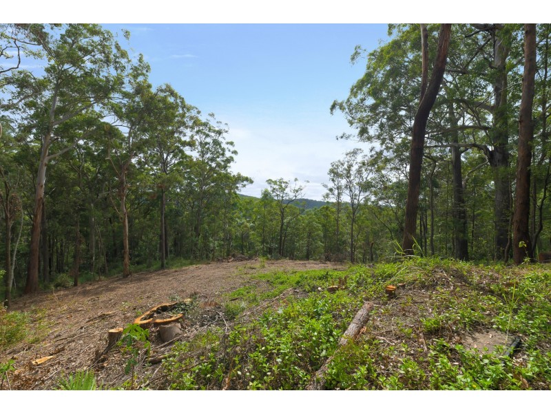 Lot 3 220 Petrie Creek Road, Rosemount QLD 4560