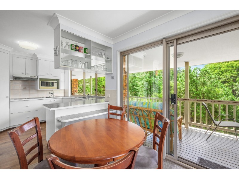 146 Mckees Road, Palmwoods QLD 4555