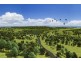 Lot 2/264 Nambour-Mapleton Road, Highworth QLD 4560