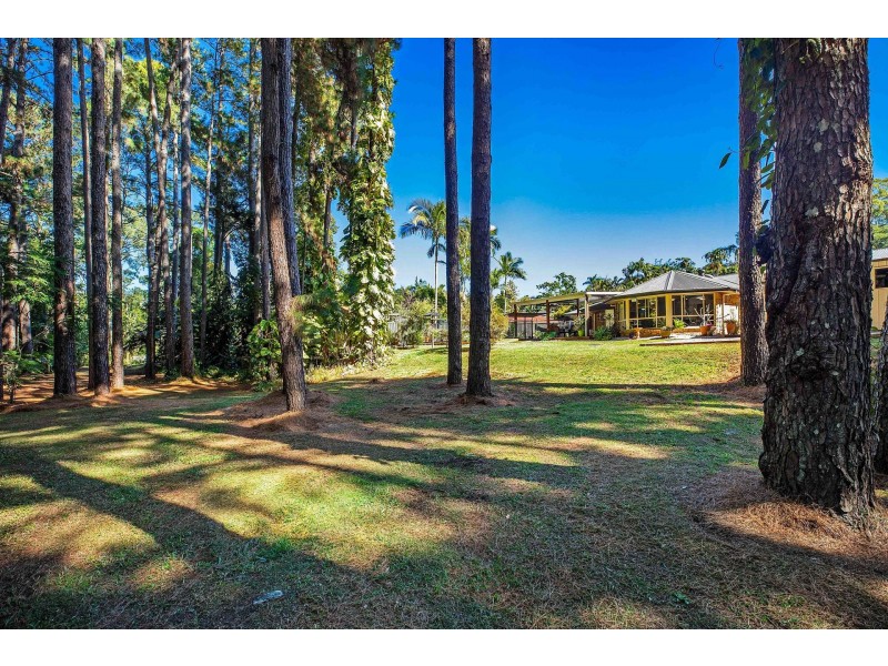 10 Wells Court, Palmwoods QLD 4555