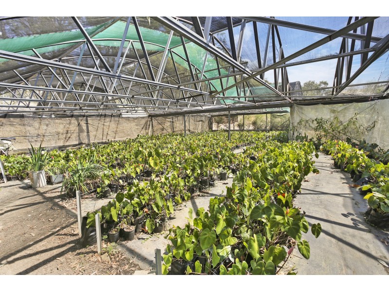 378 Tunnel Ridge Road, Mooloolah Valley QLD 4553