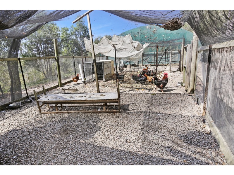 378 Tunnel Ridge Road, Mooloolah Valley QLD 4553