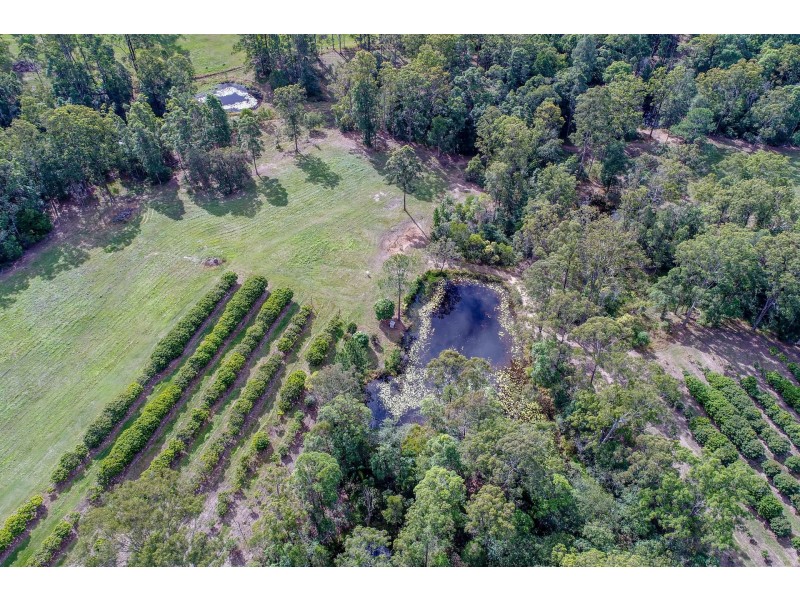 378 Tunnel Ridge Road, Mooloolah Valley QLD 4553