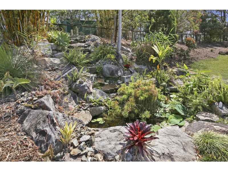 378 Tunnel Ridge Road, Mooloolah Valley QLD 4553