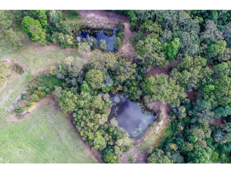 378 Tunnel Ridge Road, Mooloolah Valley QLD 4553