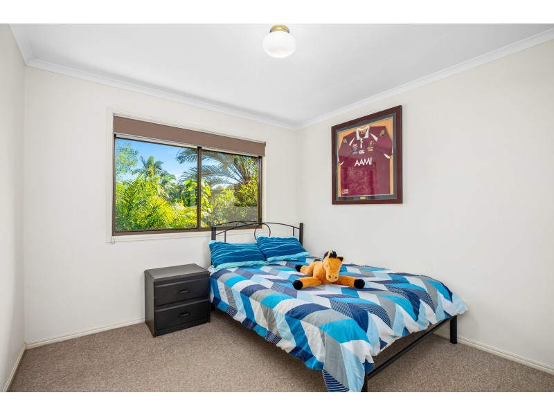 3 Camelia Court, Palmwoods QLD 4555