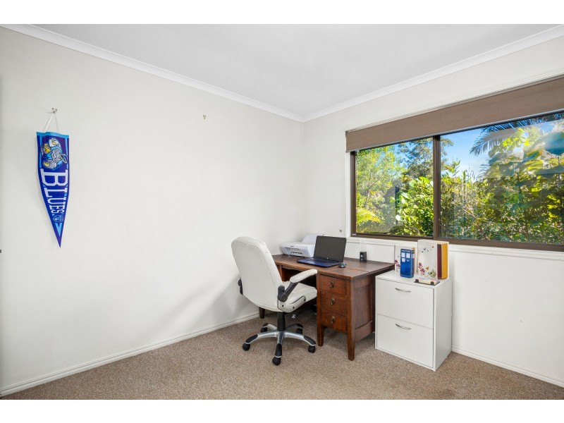 3 Camelia Court, Palmwoods QLD 4555