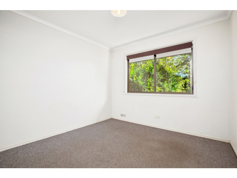 3 Camelia Court, Palmwoods QLD 4555