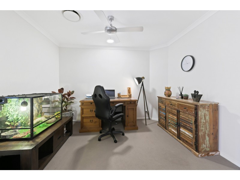 33 Frogmouth Circuit, Mountain Creek QLD 4557