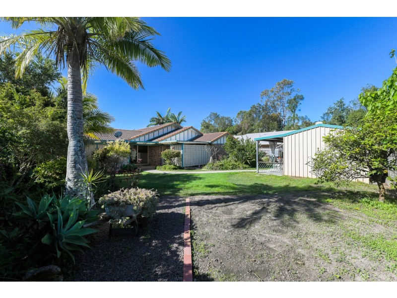 6 Hakea Court, Mountain Creek QLD 4557