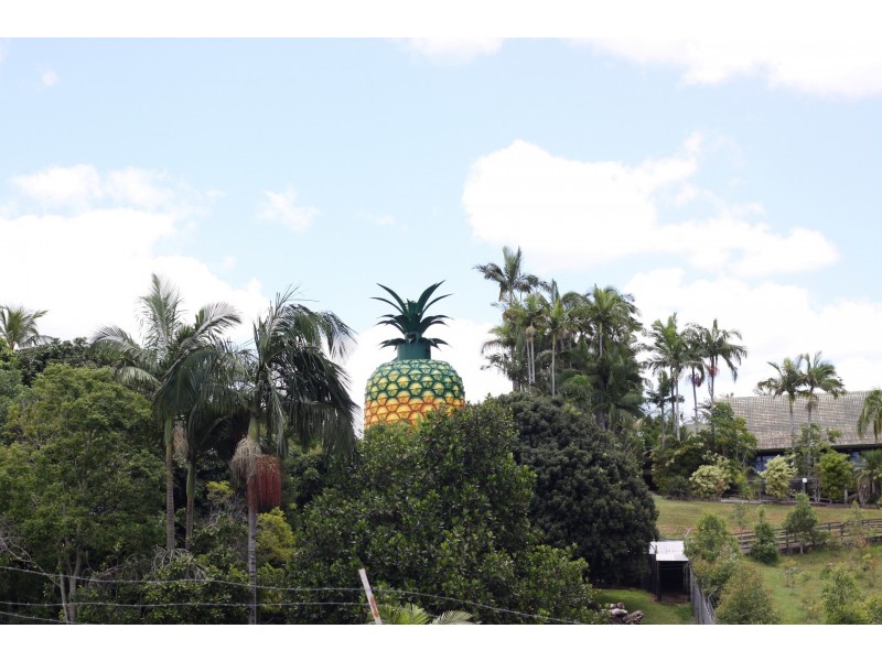 65 Lachlan Avenue, Nambour QLD 4560