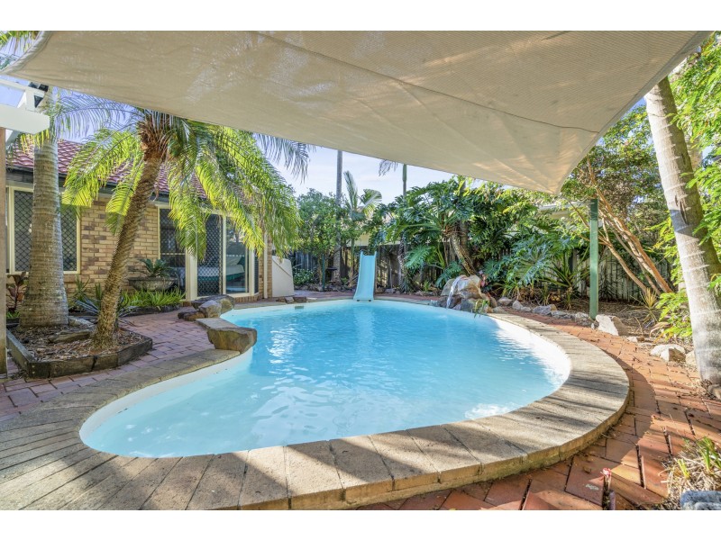 6 Bellbird Court, Wurtulla QLD 4575