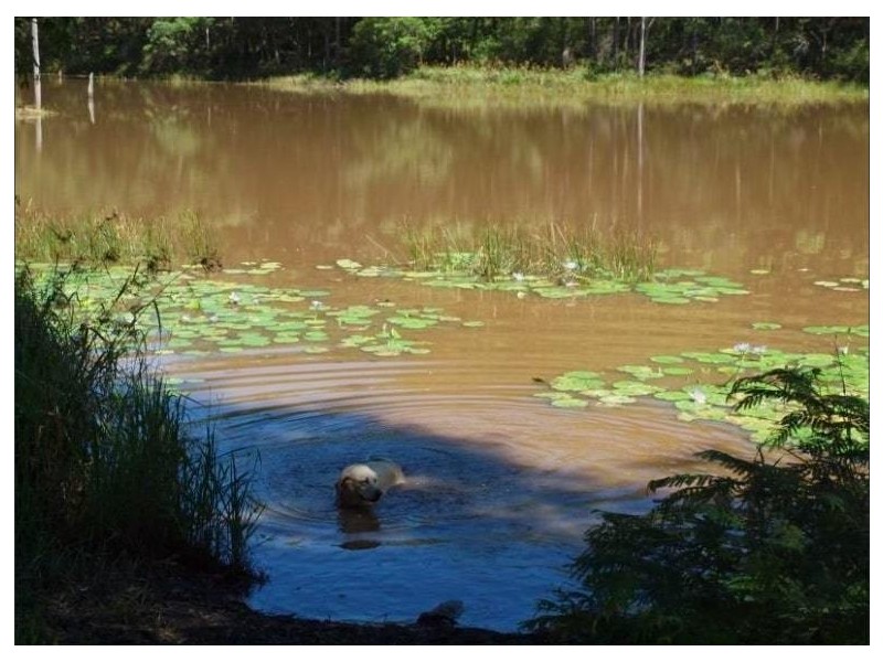 14 Bunderra Way, Cooran QLD 4569