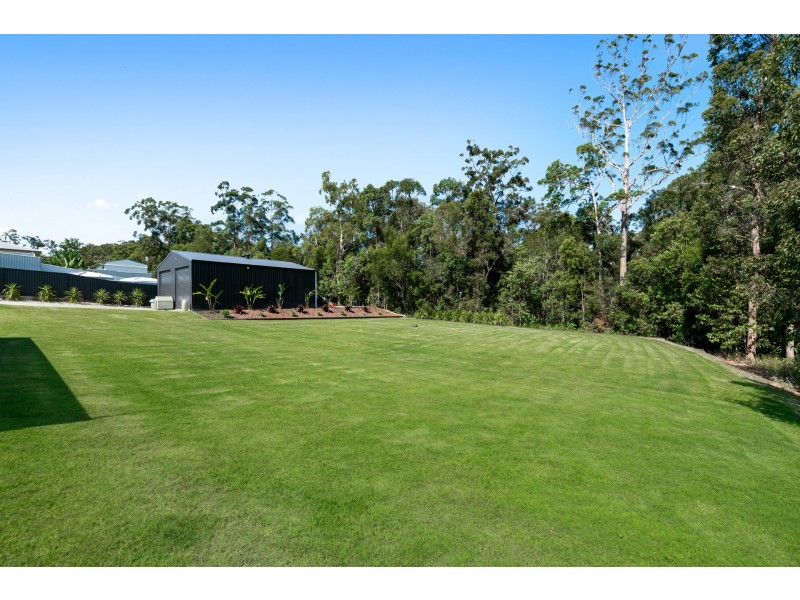 58 Glasswing Avenue, Palmview QLD 4553