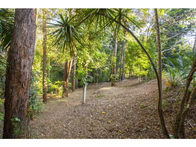 17 Mango Vale Court, Diddillibah QLD 4559