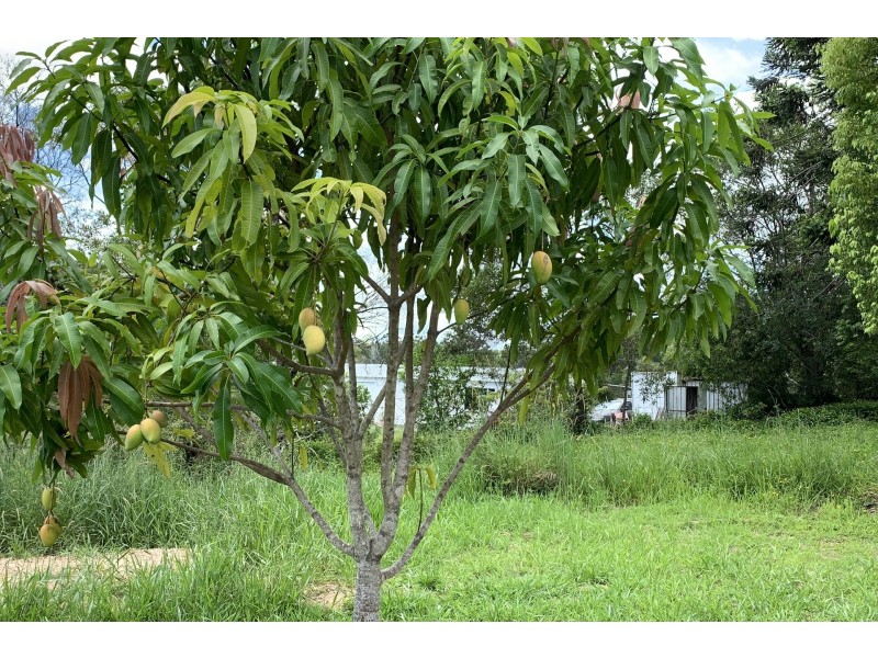 148 Wappa Falls Road, Yandina QLD 4561