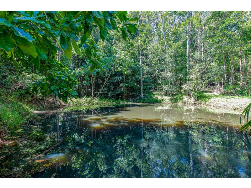 102 Macdonald Road, Palmwoods QLD 4555
