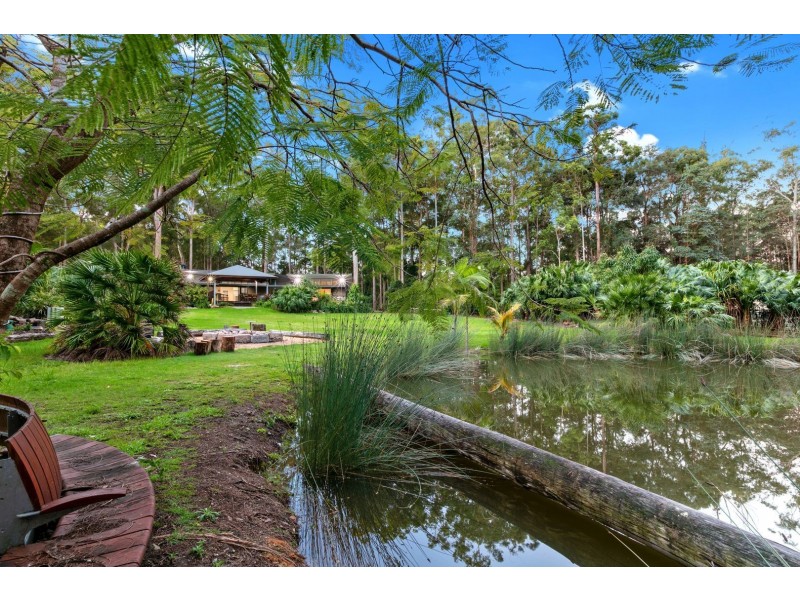 31 De Zen Road, Palmview QLD 4553