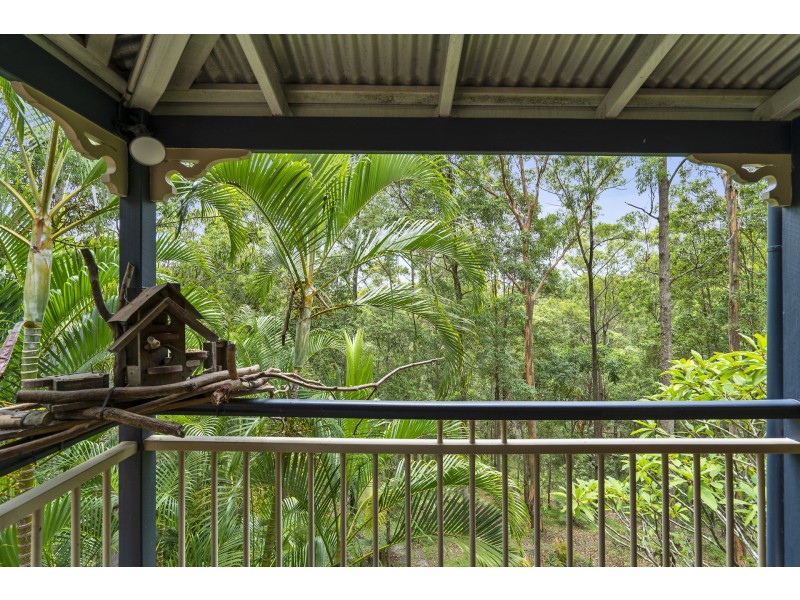 14 Forest Oak Court, Tanawha QLD 4556