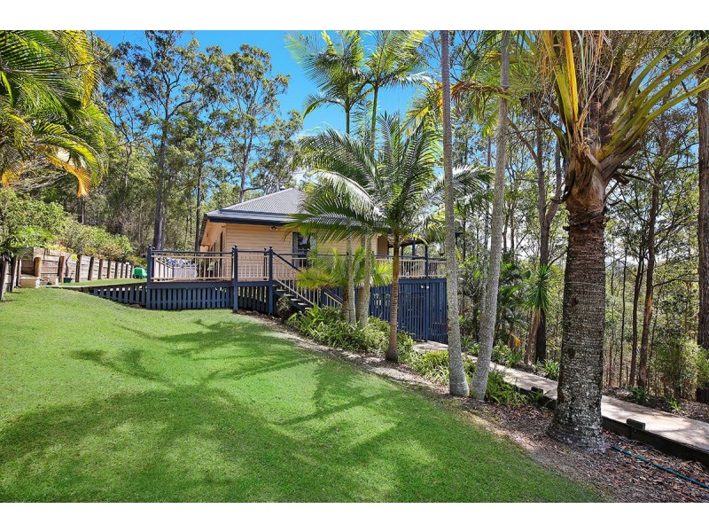 14 Forest Oak Court, Tanawha QLD 4556