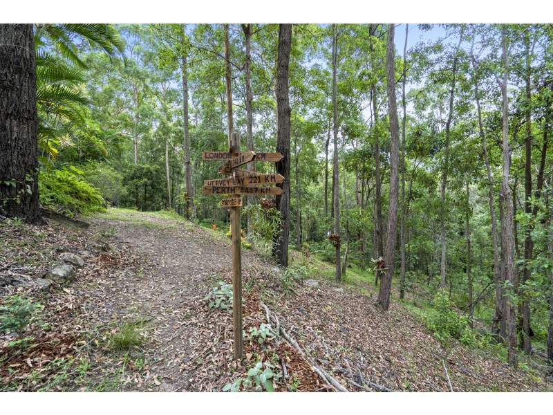 14 Forest Oak Court, Tanawha QLD 4556