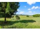 205 Yandina-Bli Bli Road, Maroochy River QLD 4561