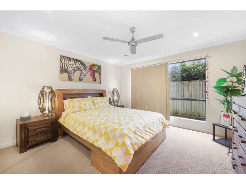 17 Ribbonwood Street, Sippy Downs QLD 4556