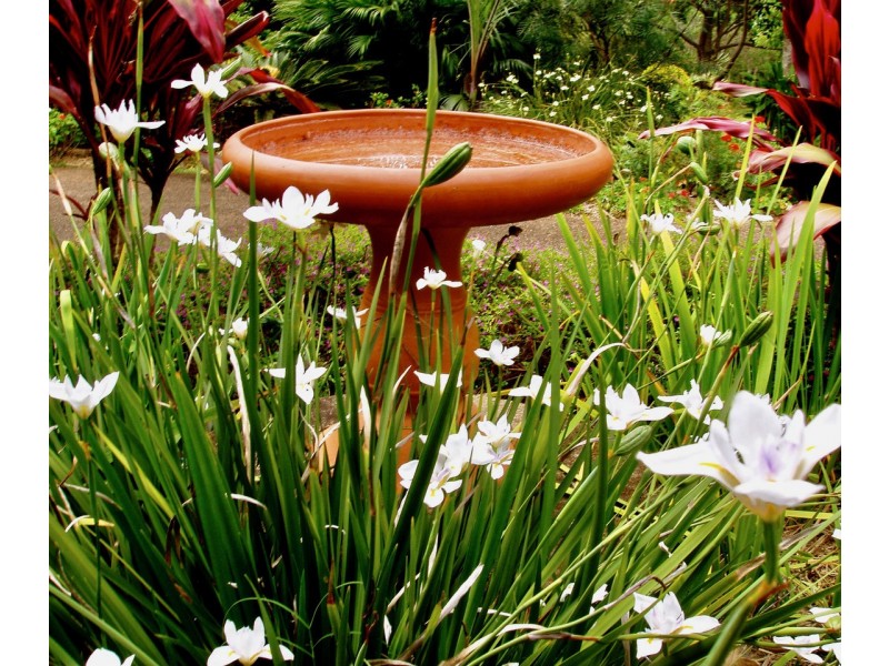 25/43-45 Western Avenue, Montville QLD 4560