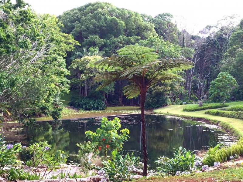 25/43-45 Western Avenue, Montville QLD 4560