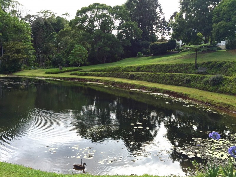 25/43-45 Western Avenue, Montville QLD 4560