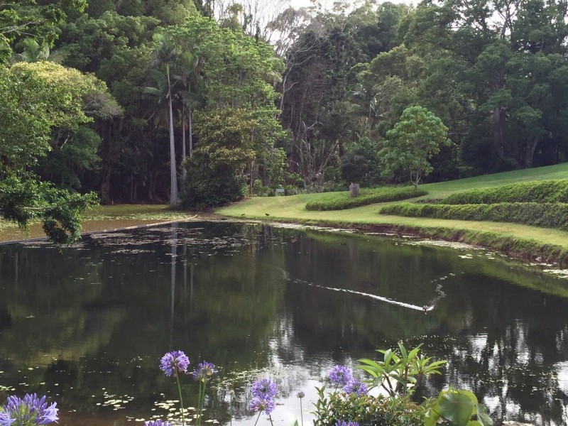 25/43-45 Western Avenue, Montville QLD 4560