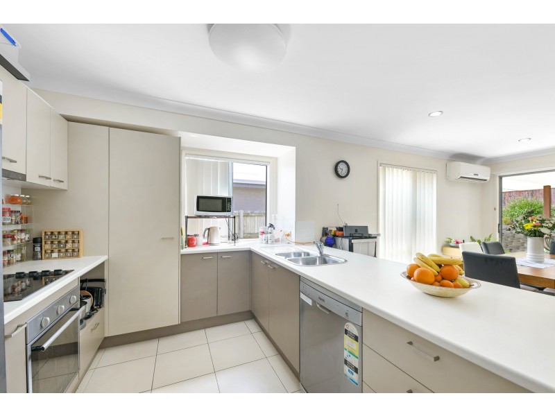 42 Robur Crescent, Mountain Creek QLD 4557