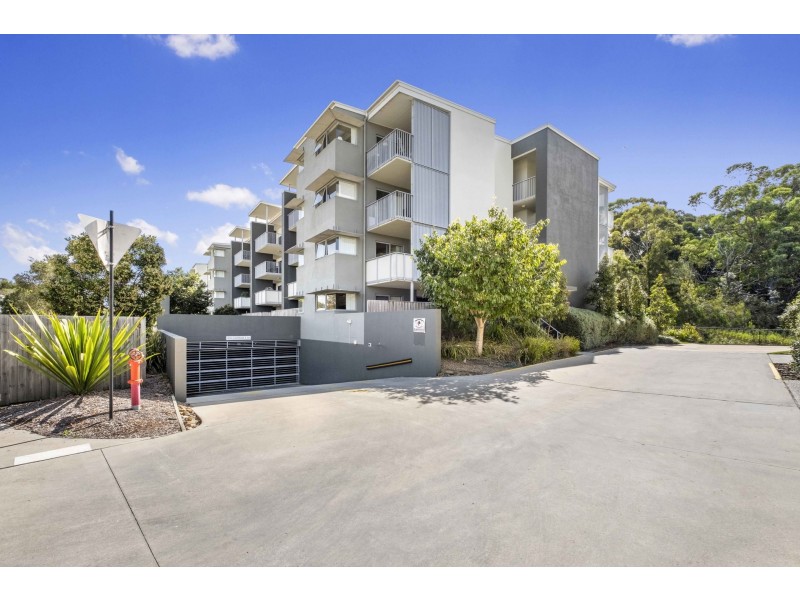 305/8 Starling Street, Buderim QLD 4556