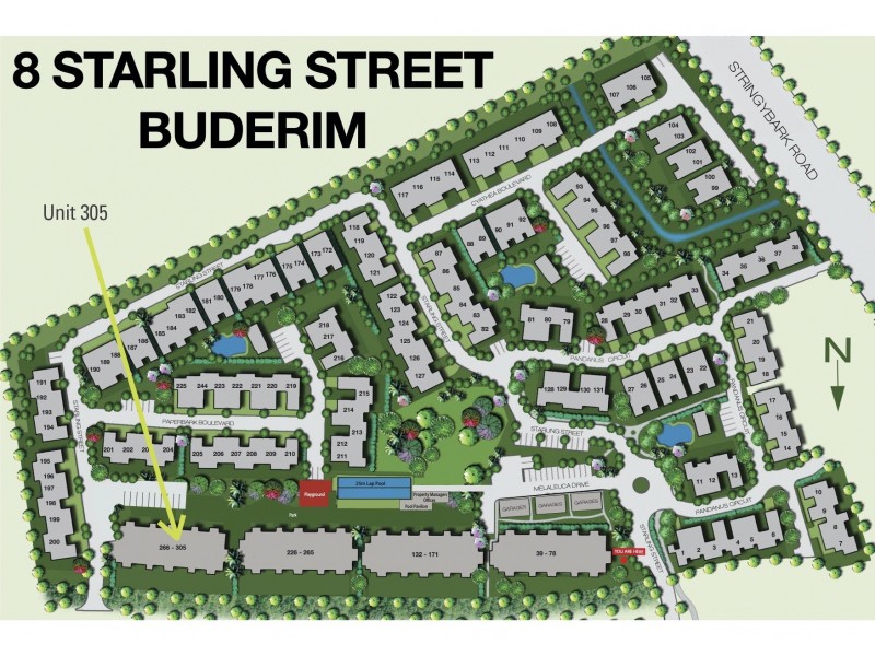 305/8 Starling Street, Buderim QLD 4556