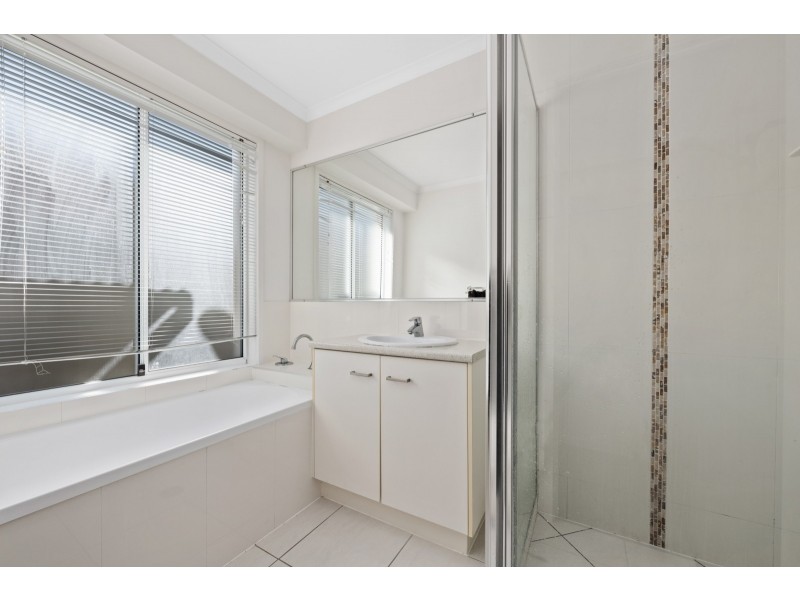 17 Clarence Place, Sippy Downs QLD 4556