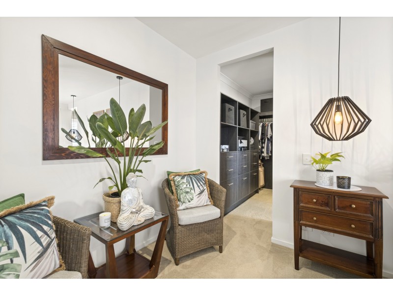 19 Cornflower Road, Palmview QLD 4553