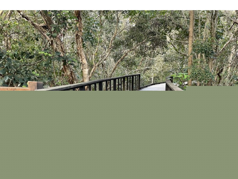 43 Boardrider Crescent, Mount Coolum QLD 4573