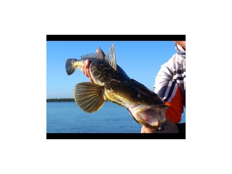 2/91-153 Donnybrook Road, Donnybrook QLD 4510