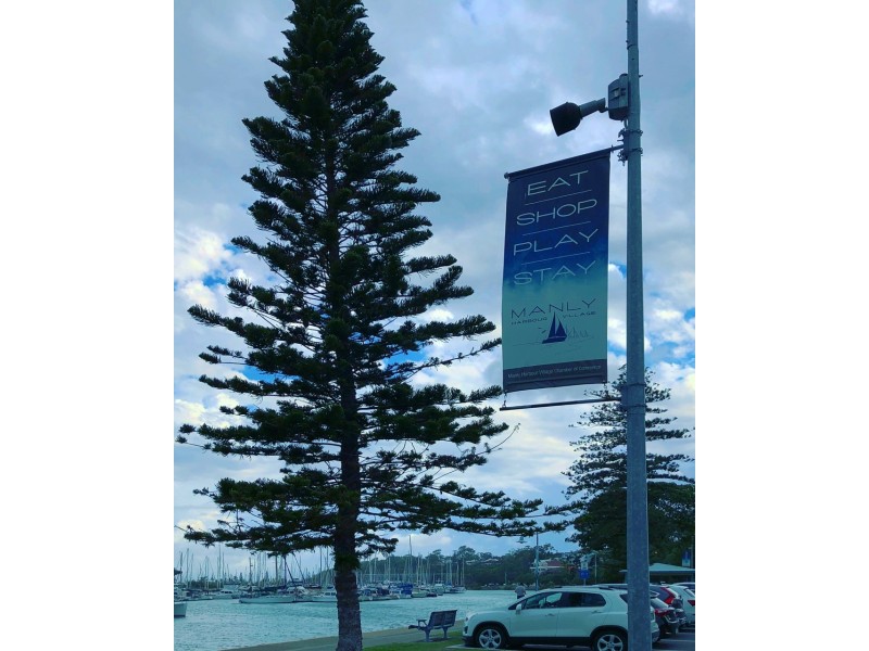 79 Washington Avenue, Tingalpa QLD 4173