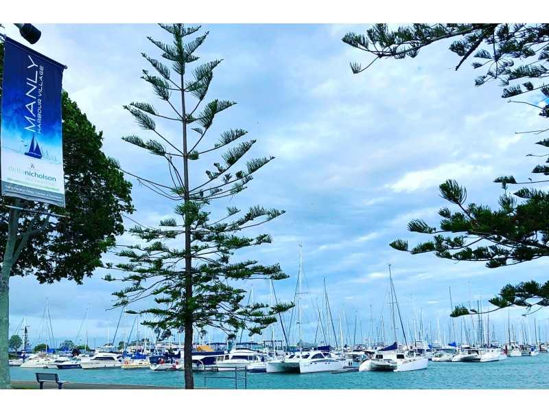 79 Washington Avenue, Tingalpa QLD 4173