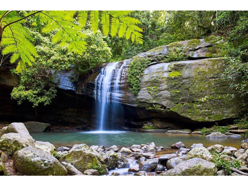 4 Forest Rise Court, Buderim QLD 4556