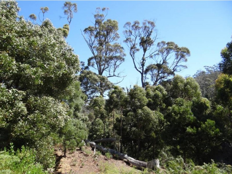 Lot 1 Roaring Beach Road, Nubeena TAS 7184