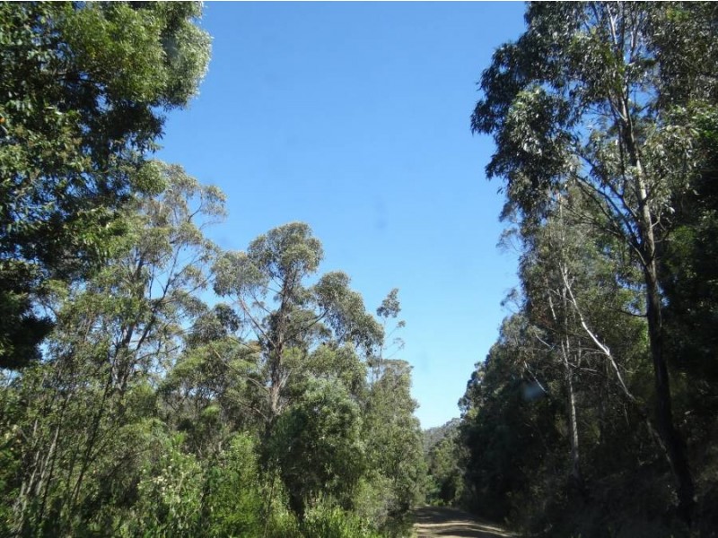 Lot 1 Roaring Beach Road, Nubeena TAS 7184