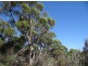 Lot 1 Roaring Beach Road, Nubeena TAS 7184
